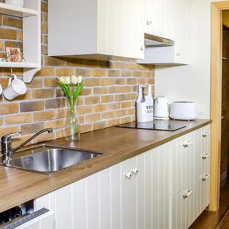 Apartment Říčky V Orlických Horách Esterno foto