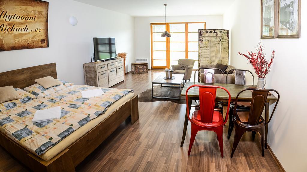 V Orlickych Horach Apartment *