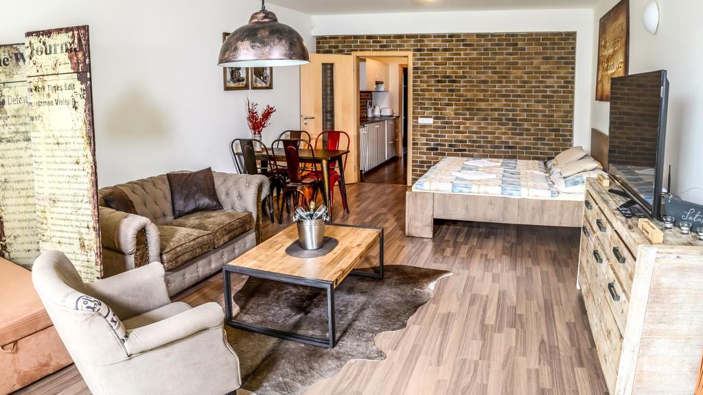 V Orlickych Horach Apartment Ricky (Hradec Kralove)