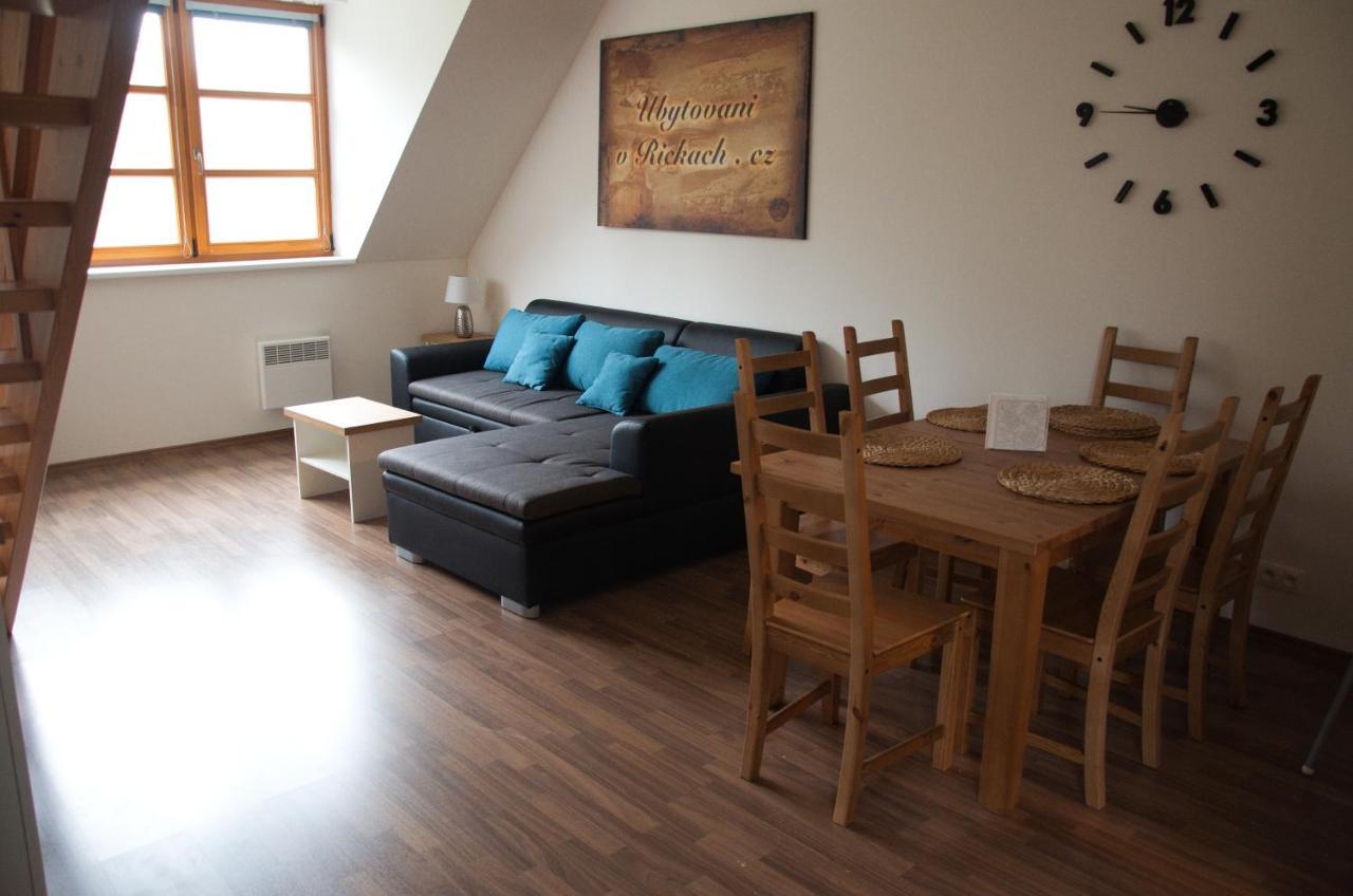 Apartment V Orlickych Horach *